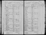 Minnesota State Census, 1885 McLeod Bergen 