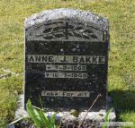 Anne J Bakke