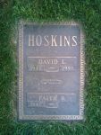 David Lewis Hoskins
