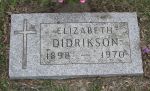 Elizabeth Brotherston Didrikson